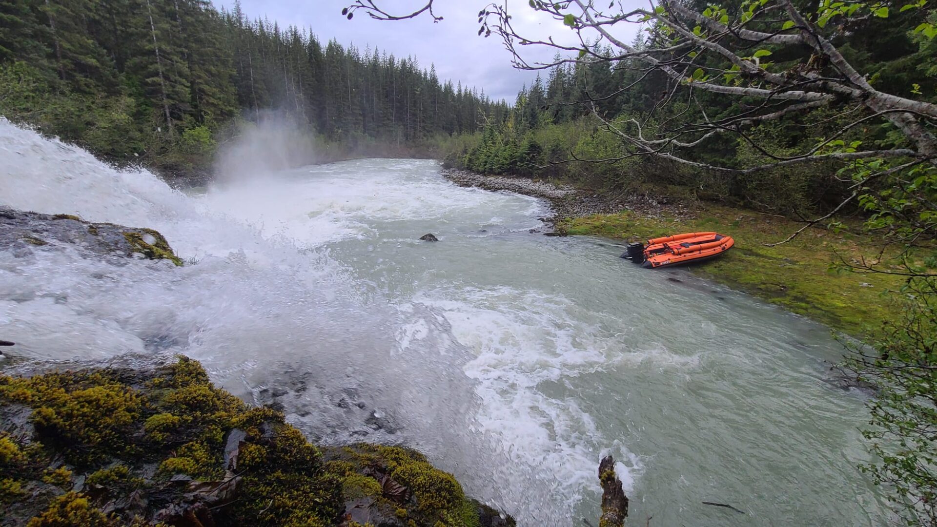 A river with rapids and trees in the background.